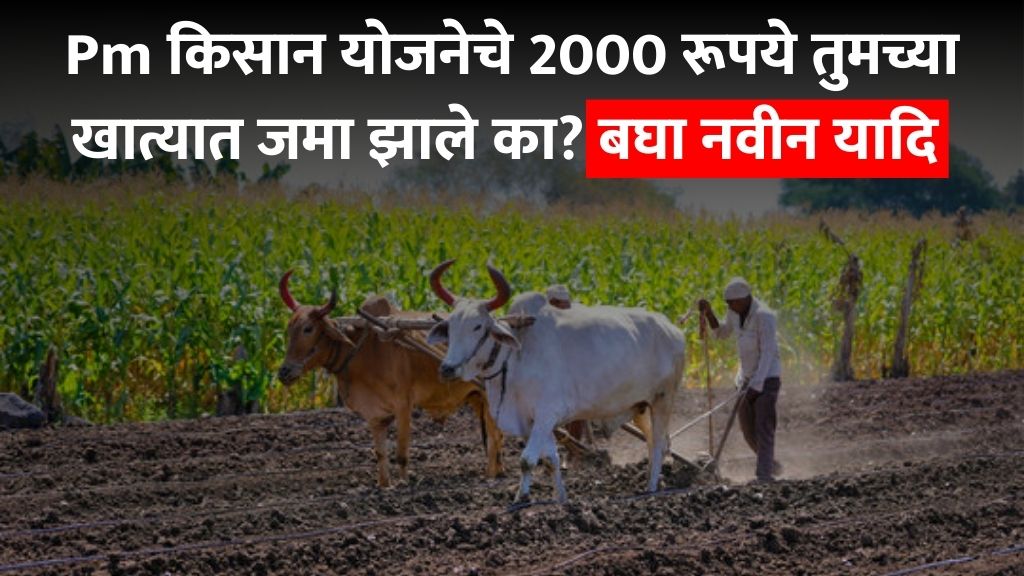 Pm Kisan Yojana